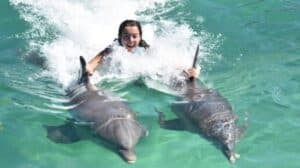 Swimming with dolphins was on Tallulah’s bucket list.