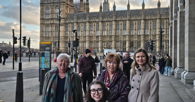 The Sheffield Ataxia Centre experience on the use of 3,4-diaminopyridine in SCA27B (8)